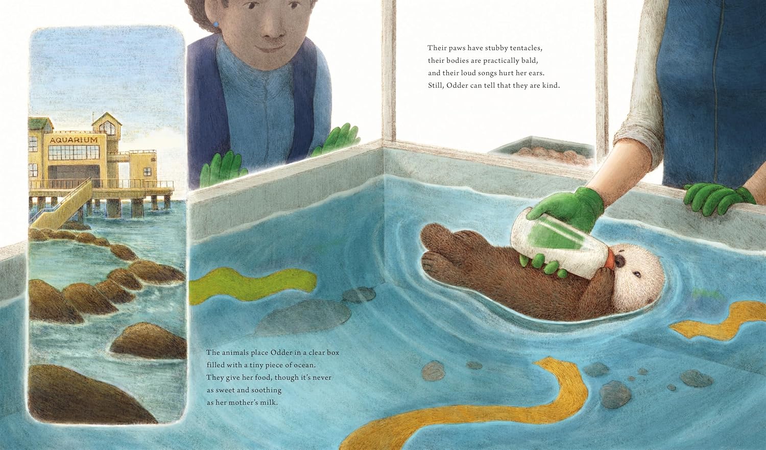 Odder: An Otter's Story (Picture Book) by Applegate. Katherine 9781250323590_3