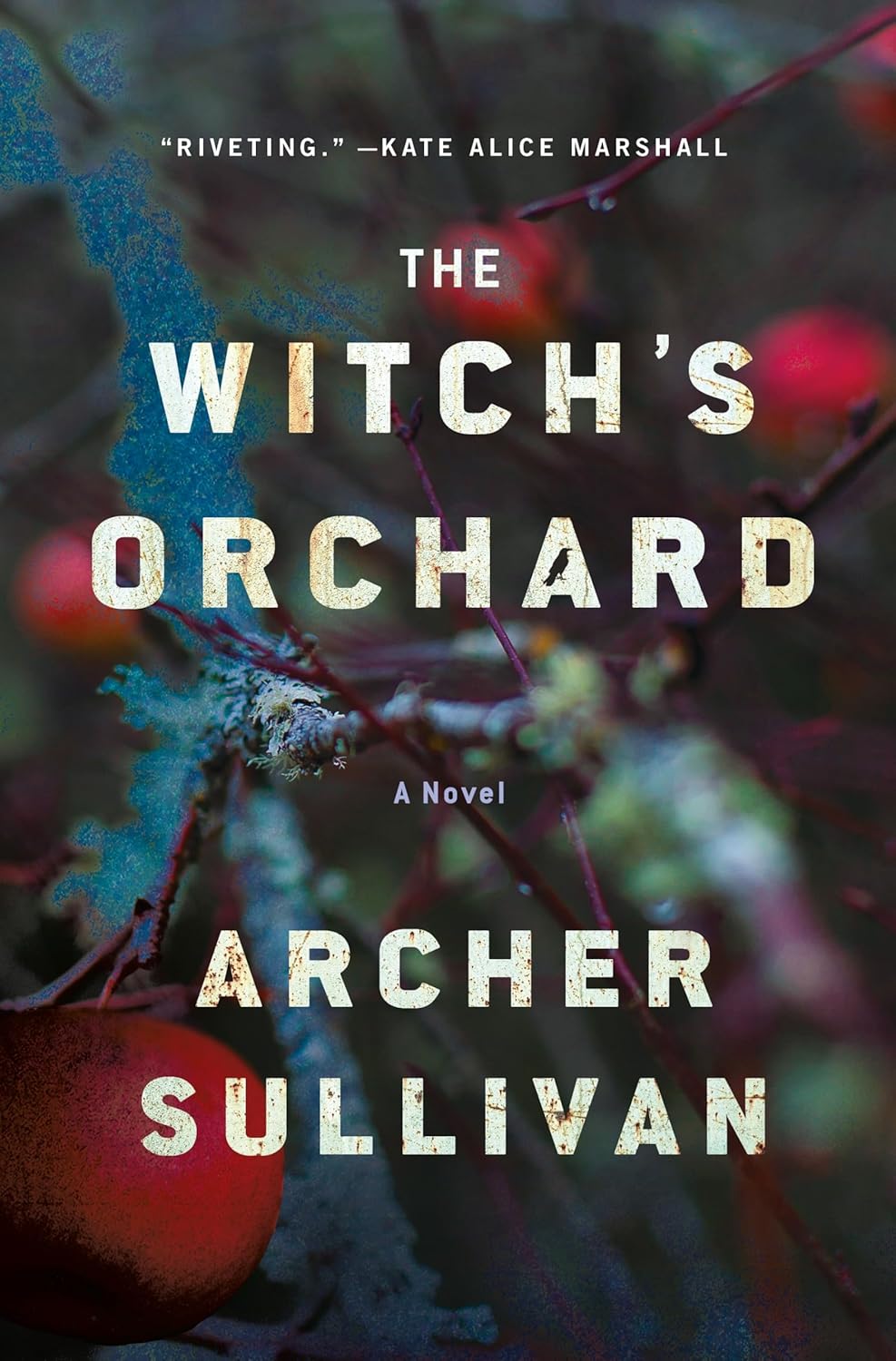 The Witch's Orchard by Sullivan. Archer 9781250338686