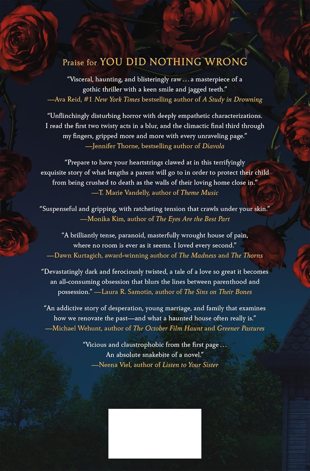 You Did Nothing Wrong: A Novel by Drews. Cg 20 9781250369994_1_73b950f2-c6be-4a49-9475-0fd866617669