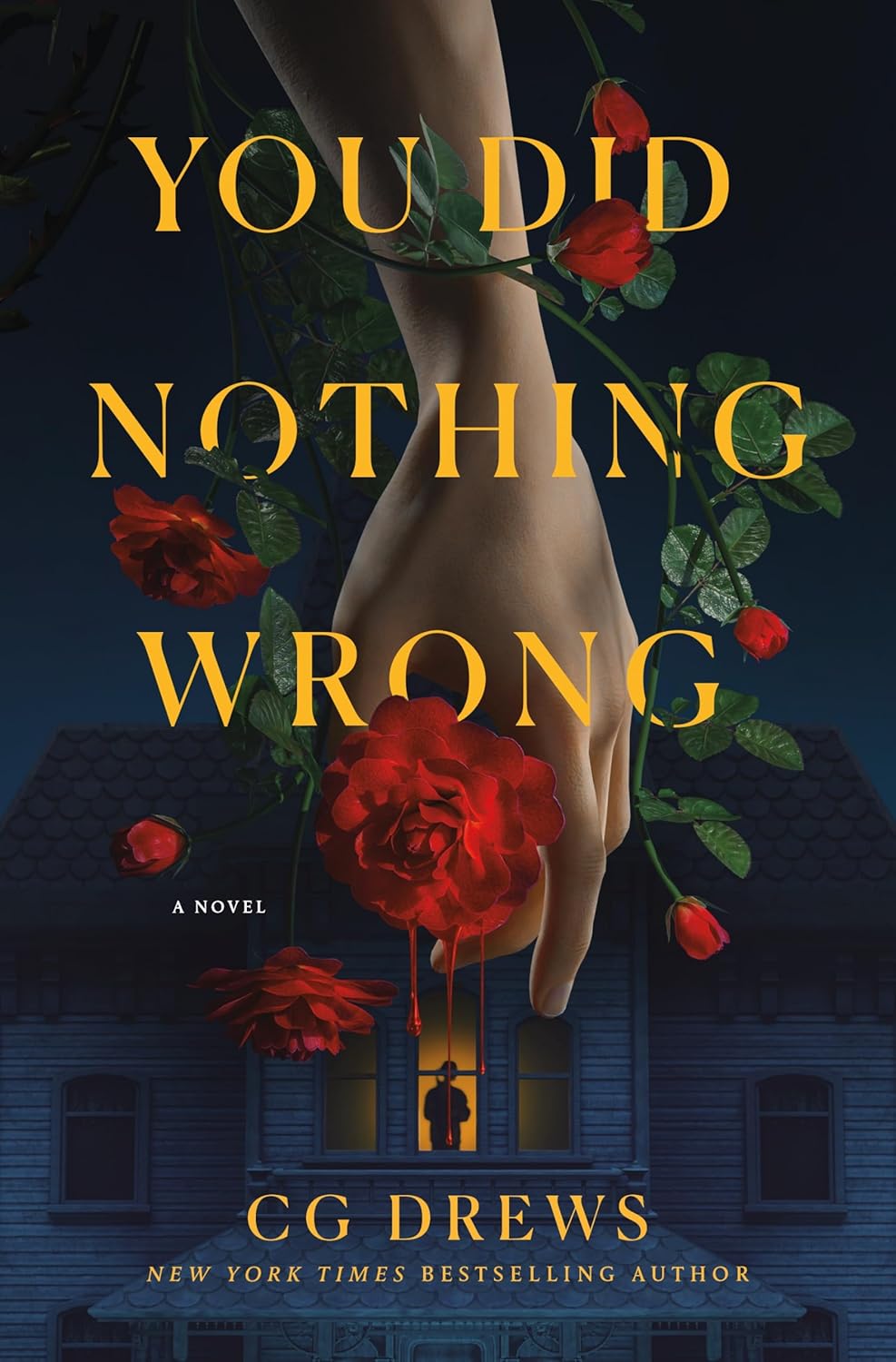 You Did Nothing Wrong: A Novel by Drews. Cg 20 9781250369994_7b910a6e-32dc-4350-93ce-c3537e87b801