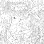 Mythographic Fantasy Forest Coloring Book by Attanasio. Fabiana 9781250373274_2