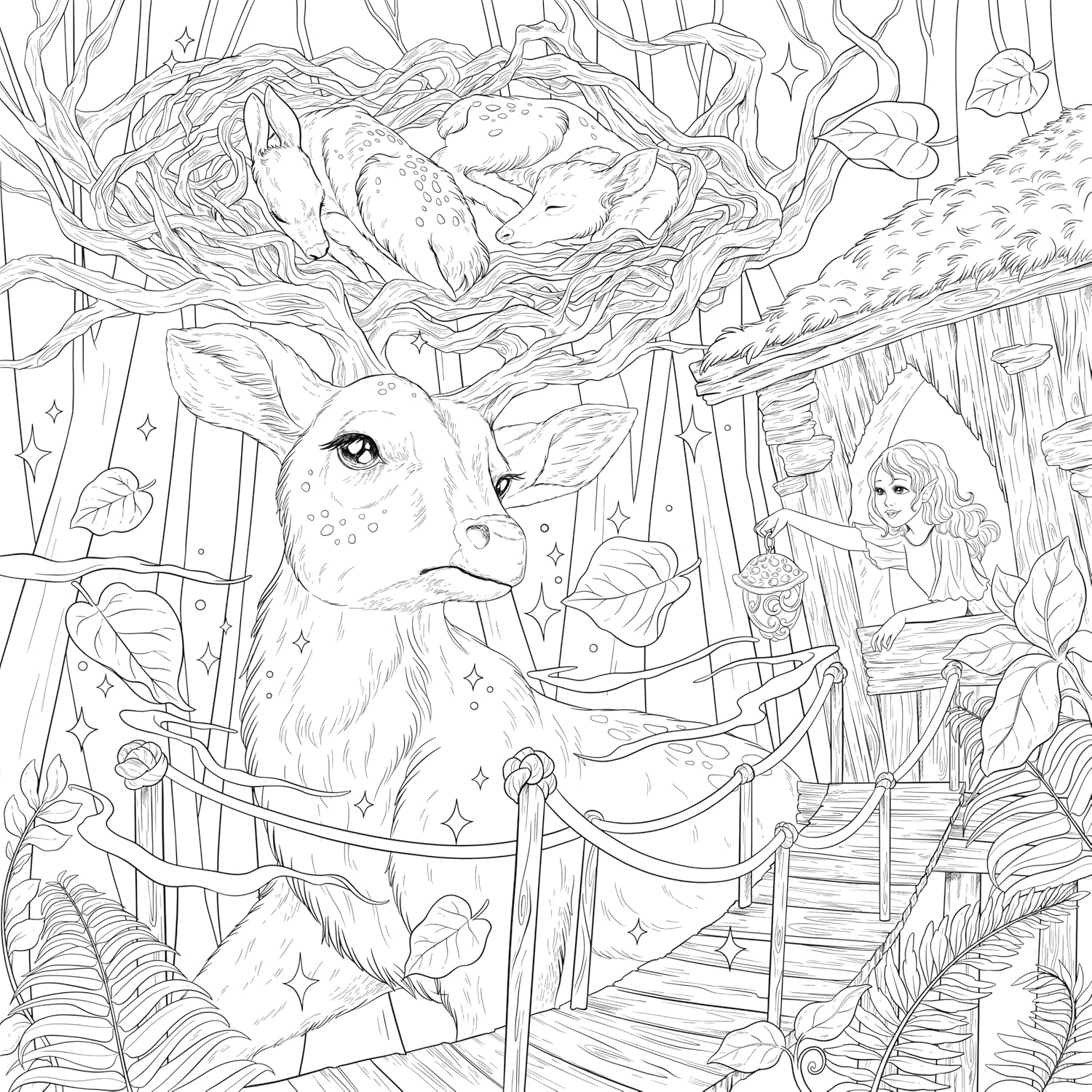 Mythographic Fantasy Forest Coloring Book by Attanasio. Fabiana 9781250373274_2
