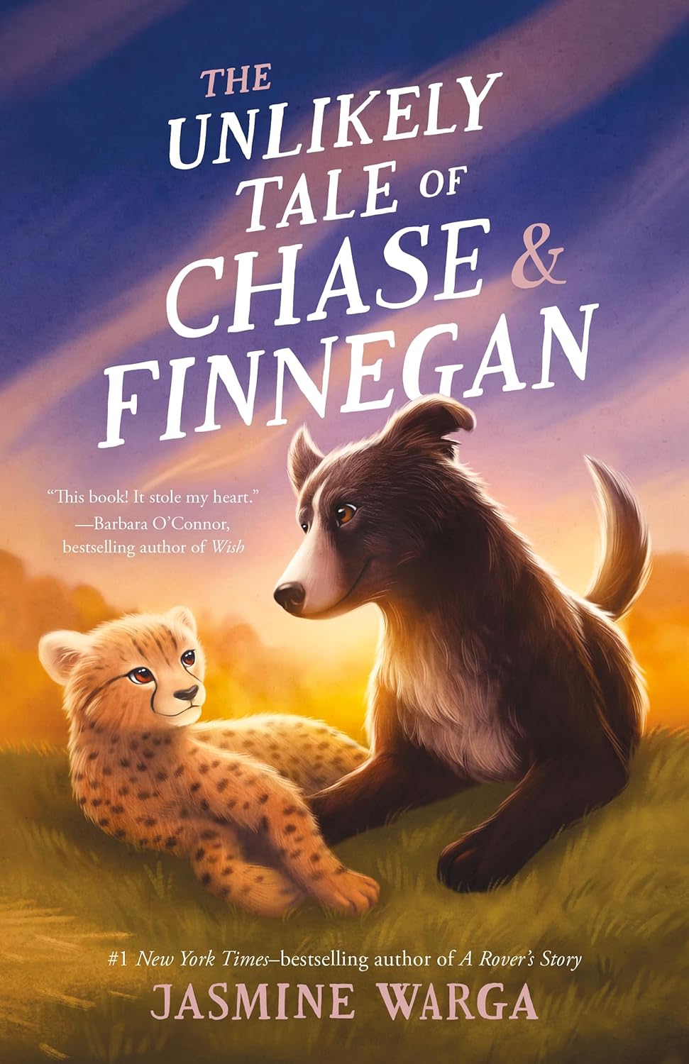 The Unlikely Tale Of Chase And Finnegan by Warga. Jasmine 20 9781250387189