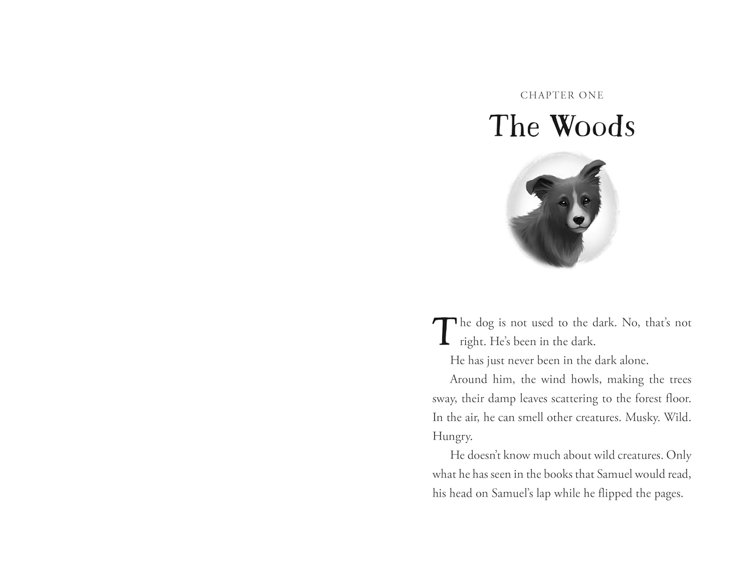 The Unlikely Tale Of Chase And Finnegan by Warga. Jasmine 20 9781250387189_3