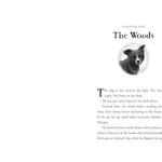 The Unlikely Tale Of Chase And Finnegan by Warga. Jasmine 20 9781250387189_3