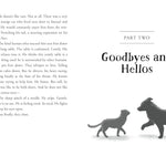 The Unlikely Tale Of Chase And Finnegan by Warga. Jasmine 20 9781250387189_5