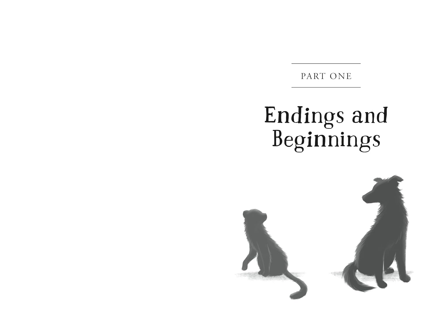 The Unlikely Tale Of Chase And Finnegan by Warga. Jasmine 20 9781250387189_7