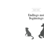 The Unlikely Tale Of Chase And Finnegan by Warga. Jasmine 20 9781250387189_7