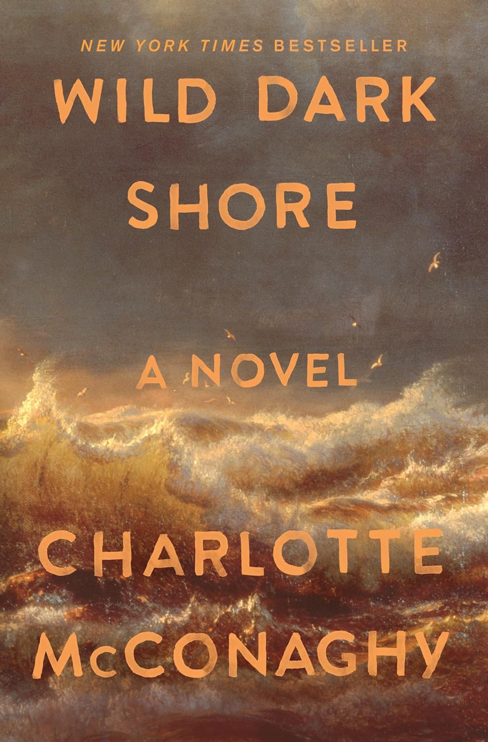 Wild Dark Shore by Mcconaghy. Charlotte 9781250827951_1