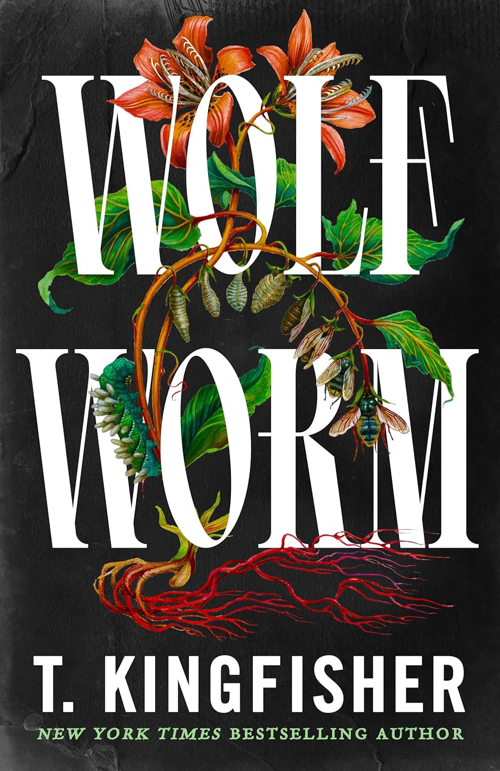 Wolf Worm A Novel by Kingfisher. T. - Hardback 20 9781250829825_10fbbe15-17c3-4614-948c-bc40697dcc69