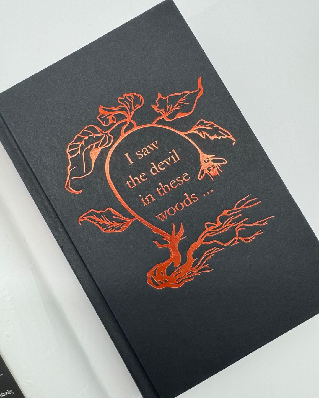 Wolf Worm A Novel by Kingfisher. T. - Hardback 20 9781250829825_2
