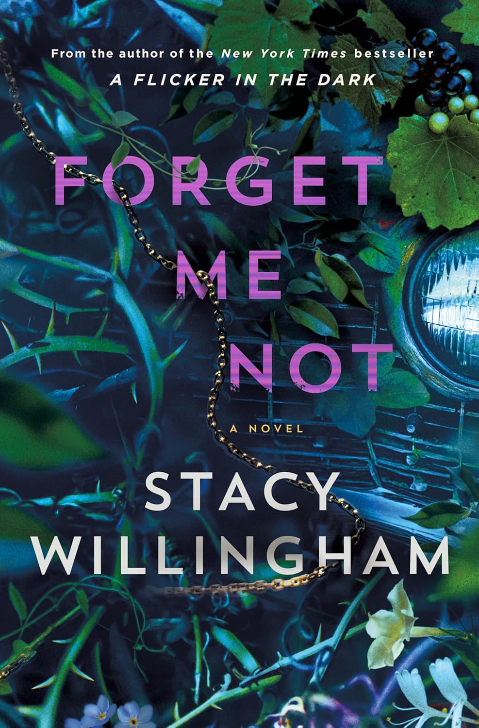 Forget Me Not: A Novel by Willingham. Stacy 9781250887979