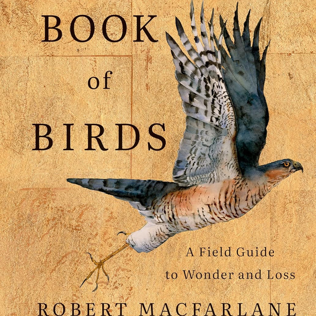 The Book of Birds: A Field Guide to Wonder and Loss by MacFarlane. Robert and Morris. Jackie 20 9781324006848