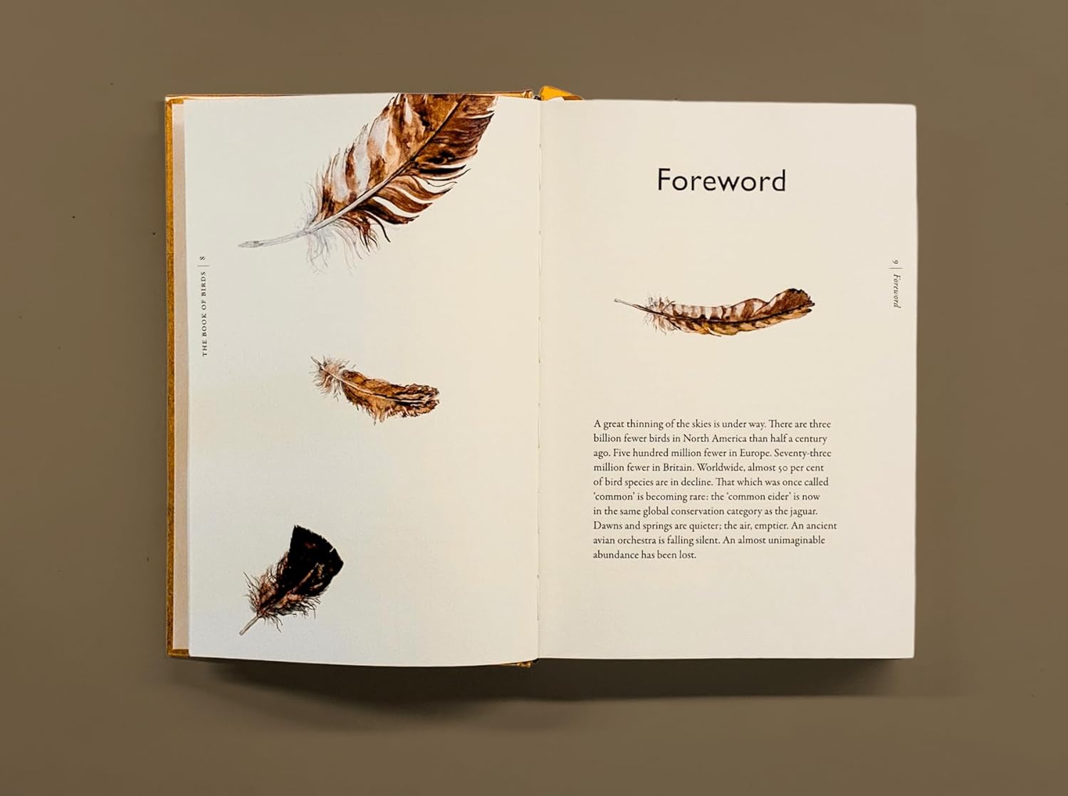 The Book of Birds: A Field Guide to Wonder and Loss by MacFarlane. Robert and Morris. Jackie 20 9781324006848_2