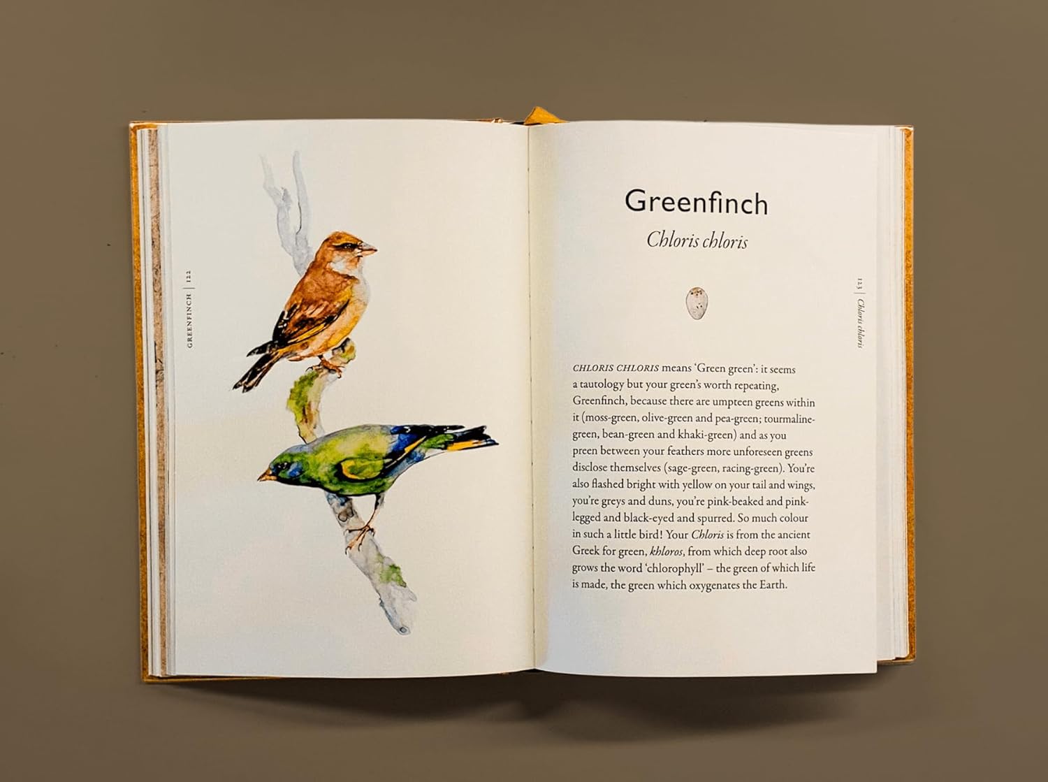 The Book of Birds: A Field Guide to Wonder and Loss by MacFarlane. Robert and Morris. Jackie 20 9781324006848_5