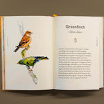 The Book of Birds: A Field Guide to Wonder and Loss by MacFarlane. Robert and Morris. Jackie 20 9781324006848_5
