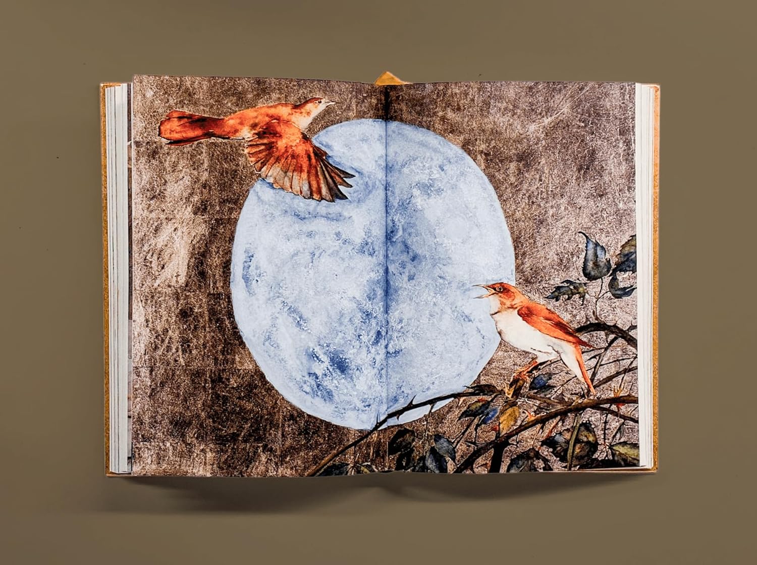 The Book of Birds: A Field Guide to Wonder and Loss by MacFarlane. Robert and Morris. Jackie 20 9781324006848_6