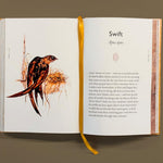 The Book of Birds: A Field Guide to Wonder and Loss by MacFarlane. Robert and Morris. Jackie 20 9781324006848_7