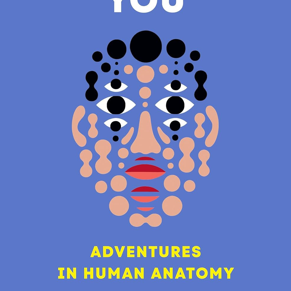Replaceable You: Adventures In Human Anatomy by Roach. Mary 9781324050629