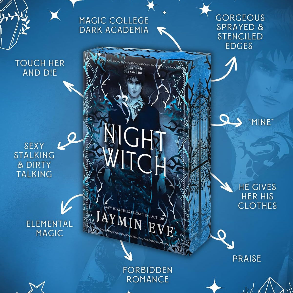 Night Witch (Weatherstone College #2) by Eve. Jaymin