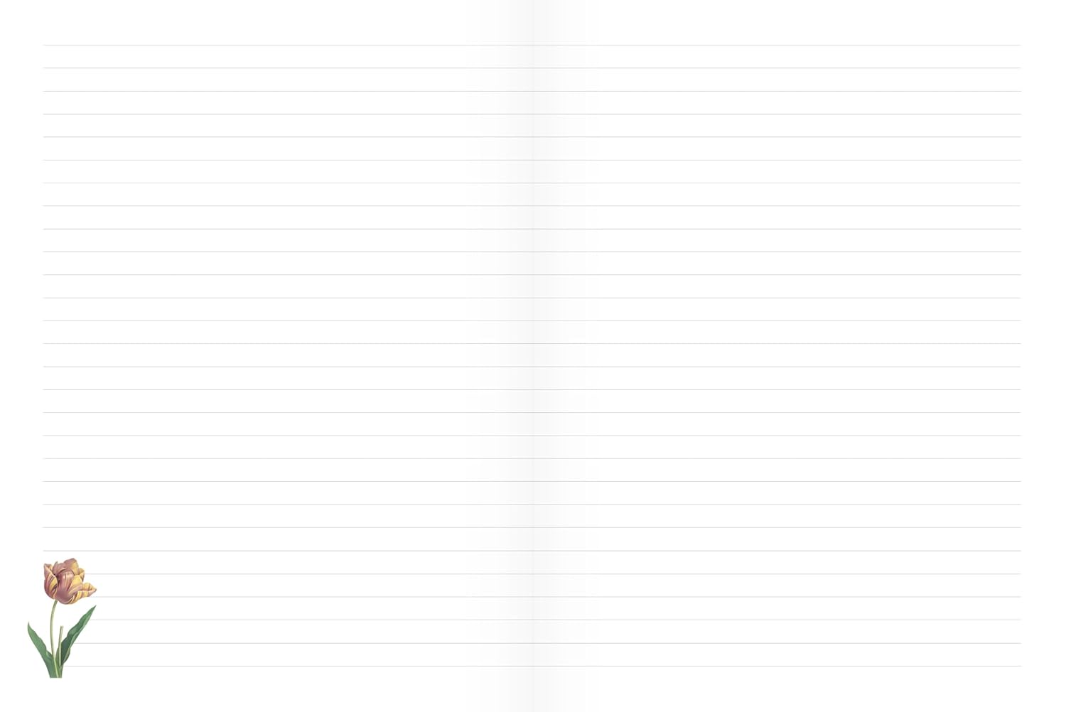 The Botanical Flowers Notebook: Blank Lined Journal - Arcturus Publishing Li 9781398853164_1