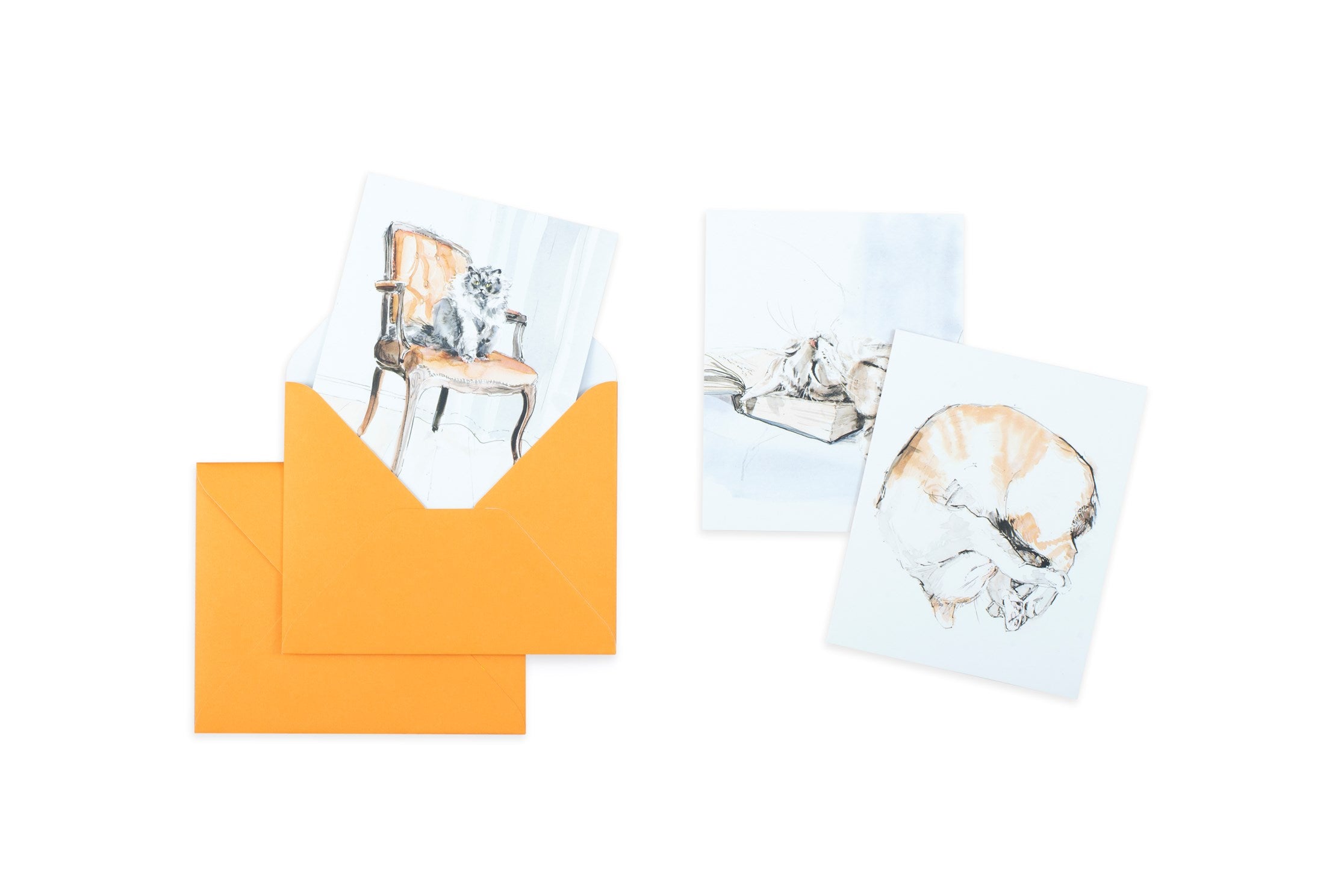 For the Love of Cats: 20 Individual Notecards and Envelopes 50 9781399600125_1