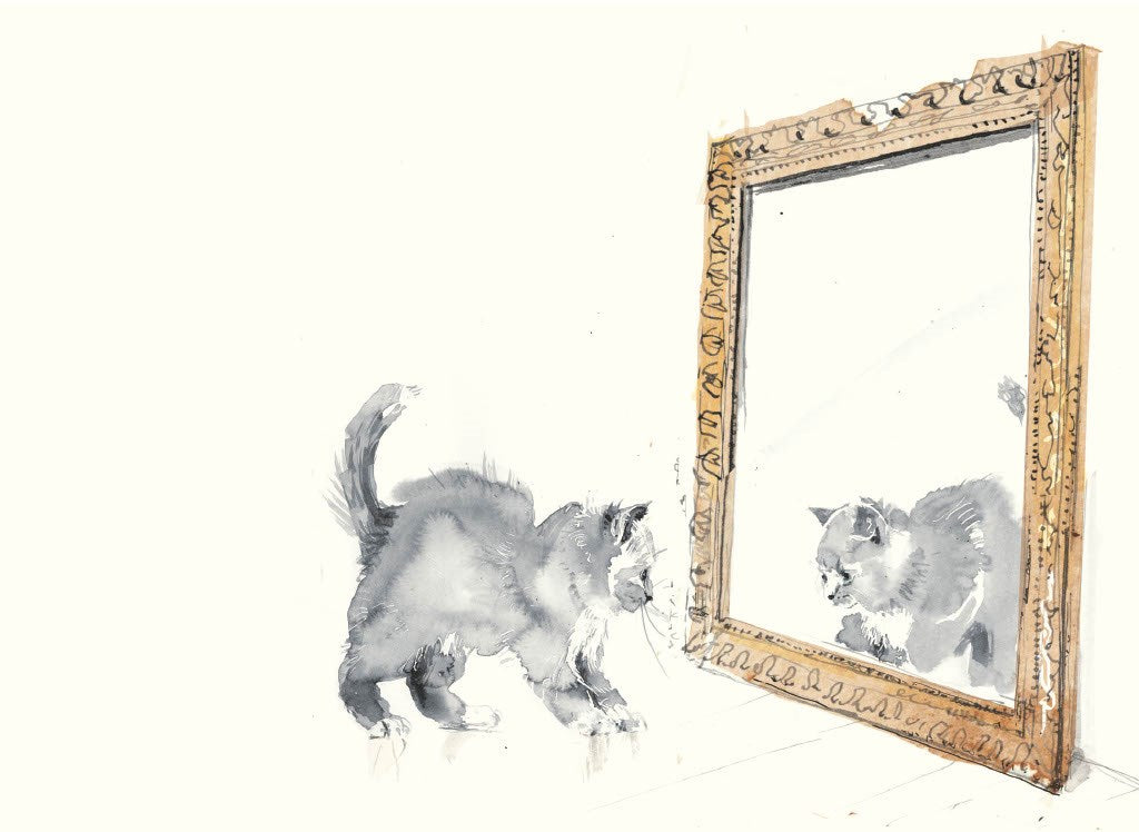 For the Love of Cats: 25 Postcards by Sampson. Ana 50 9781399600132_1