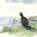 For the Love of Cats: 25 Postcards by Sampson. Ana 50 9781399600132_2
