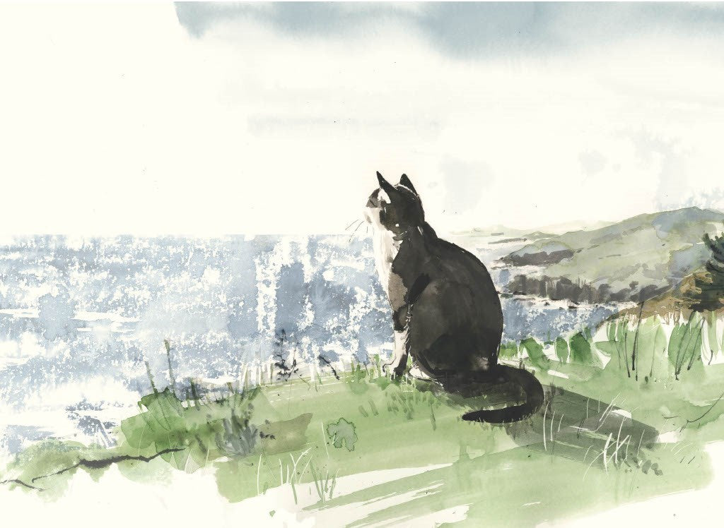 For the Love of Cats: 25 Postcards by Sampson. Ana 50 9781399600132_2