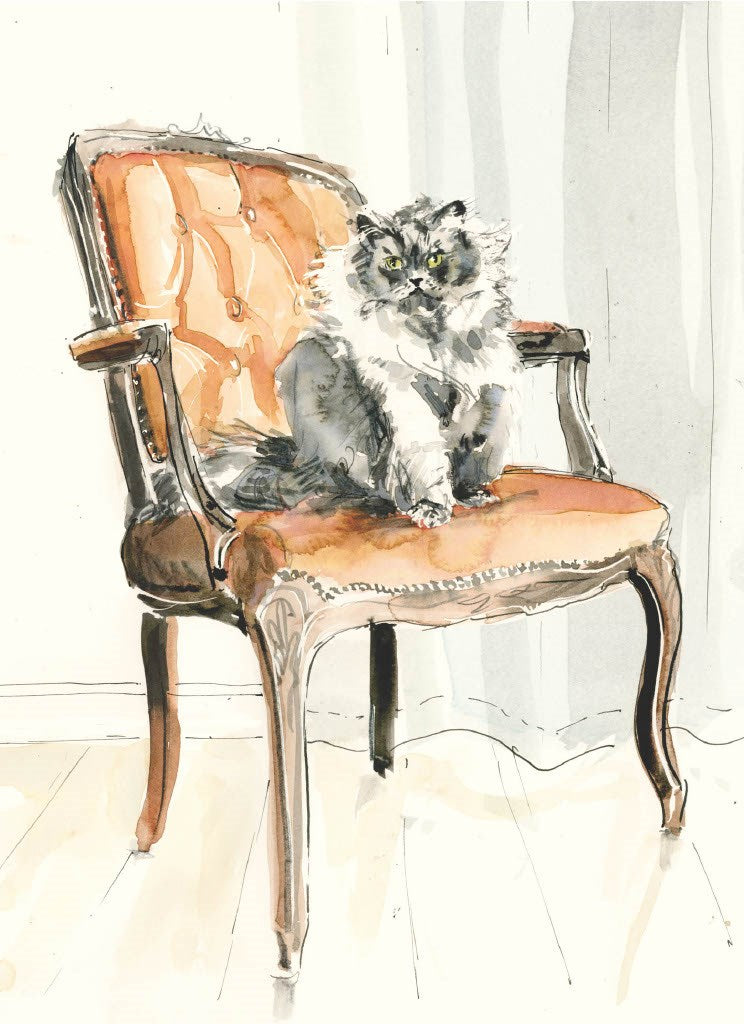 For the Love of Cats: 25 Postcards by Sampson. Ana 50 9781399600132_3