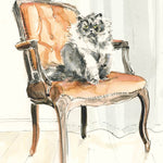 For the Love of Cats: 25 Postcards by Sampson. Ana 50 9781399600132_3
