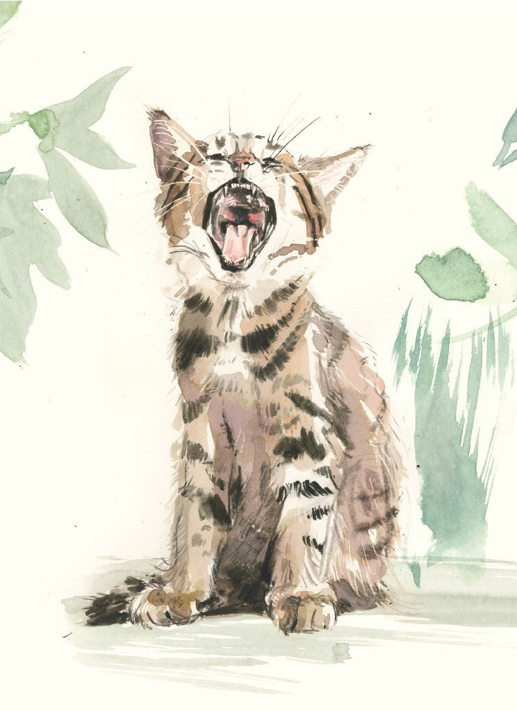 For the Love of Cats: 25 Postcards by Sampson. Ana 50 9781399600132_4