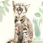 For the Love of Cats: 25 Postcards by Sampson. Ana 50 9781399600132_4