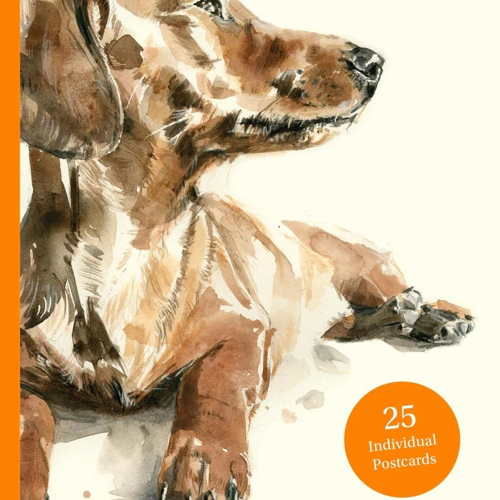 For the Love of Dogs: 25 Postcards by Sampson. Ana 50 9781399600156