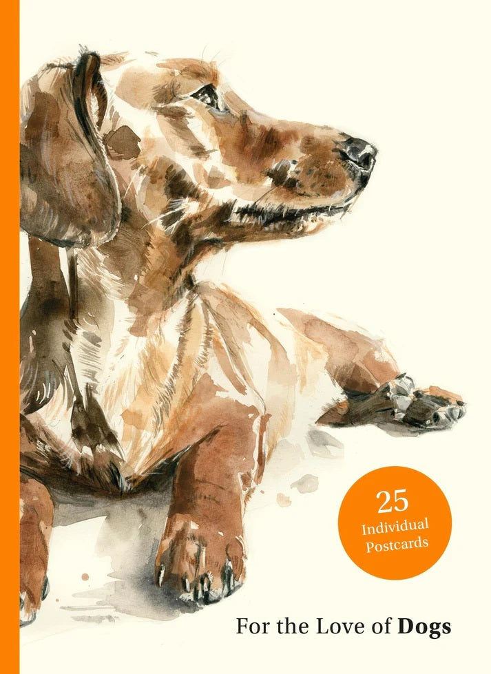 For the Love of Dogs: 25 Postcards by Sampson. Ana 50 9781399600156