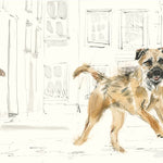 For the Love of Dogs: 25 Postcards by Sampson. Ana 50 9781399600156_2
