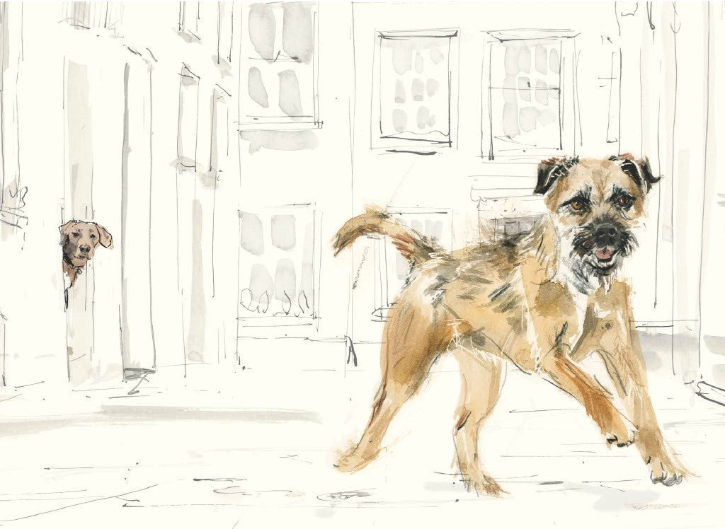 For the Love of Dogs: 25 Postcards by Sampson. Ana 50 9781399600156_2