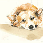 For the Love of Dogs: 25 Postcards by Sampson. Ana 50 9781399600156_4