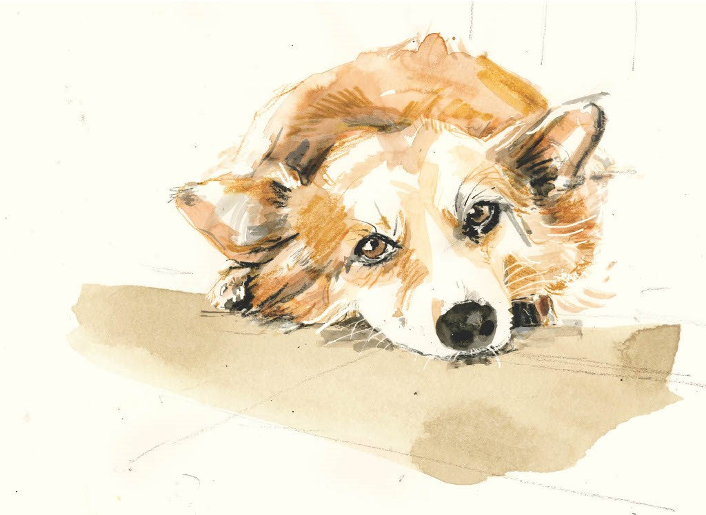 For the Love of Dogs: 25 Postcards by Sampson. Ana 50 9781399600156_4