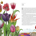 Around The World In 80 Plants by Drori. Jonathan; Clerc. Lucille 9781399610698_1