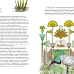 Around The World In 80 Plants by Drori. Jonathan; Clerc. Lucille 9781399610698_2