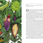 Around The World In 80 Plants by Drori. Jonathan; Clerc. Lucille 9781399610698_3