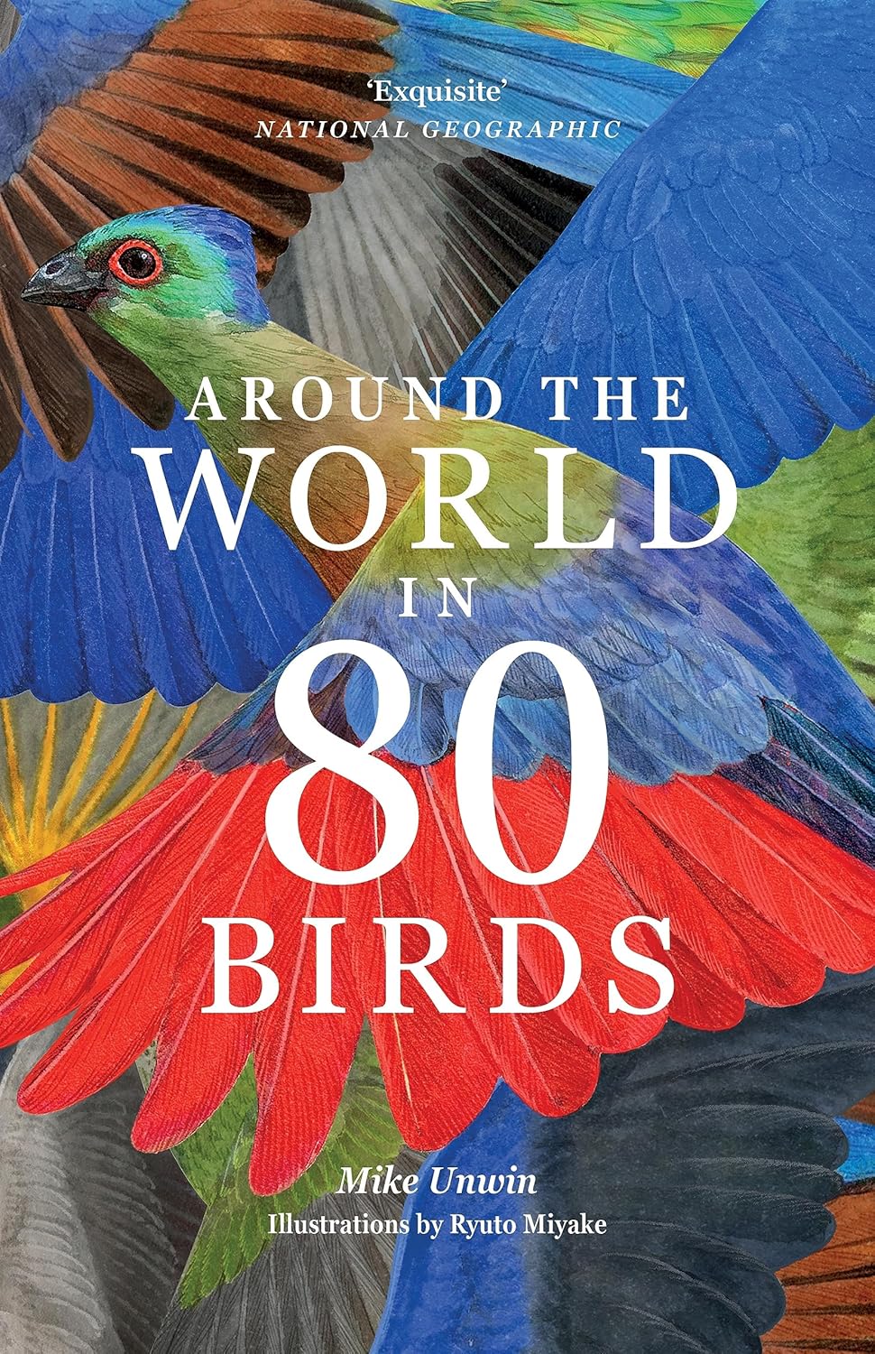Around The World In 80 Birds by Unwin. Mike; Miyake. Ryuto 9781399610704