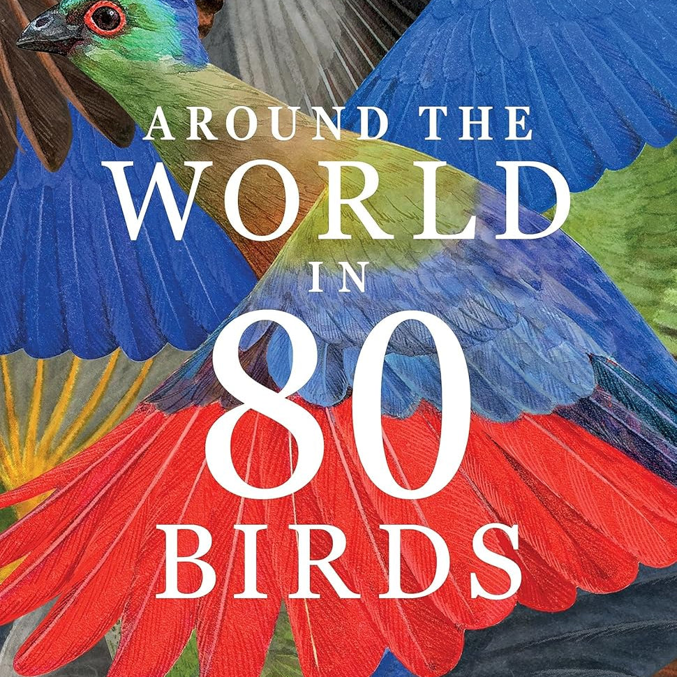 Around The World In 80 Birds by Unwin. Mike; Miyake. Ryuto 9781399610704