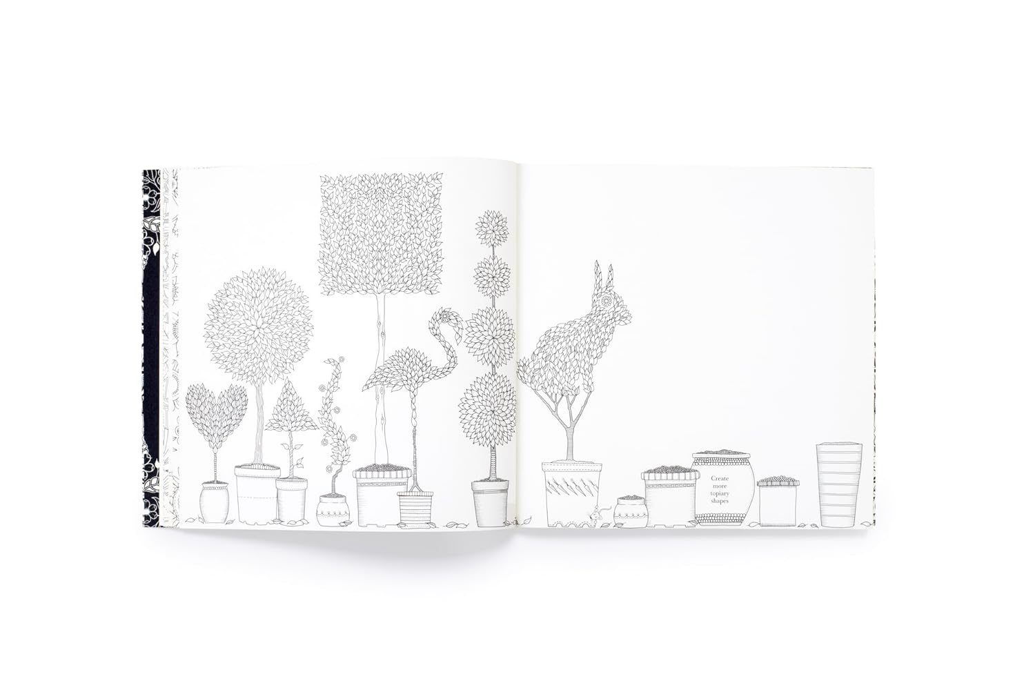 Secret Garden 10Th Anniversary Special Edition Coloring Book by Basford. Johanna 9781399616362_6