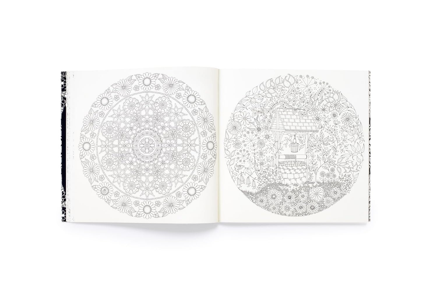 Secret Garden 10Th Anniversary Special Edition Coloring Book by Basford. Johanna 9781399616362_7