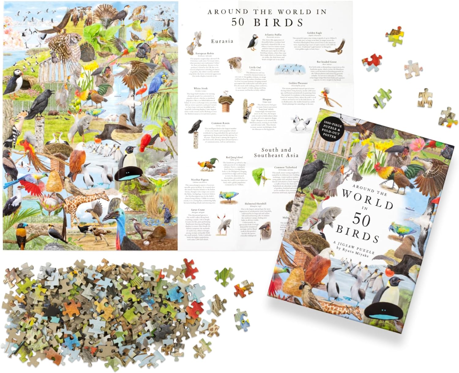 Around The World In 50 Birds 1000 Piece Jigsaw Puzzle by Miyake. Ryuto; Unwin. M 9781399620024_4