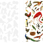 Even More Extraordinary Things to Cut Out and Collage by Gonzalez. Paula 20 9781399623445_1