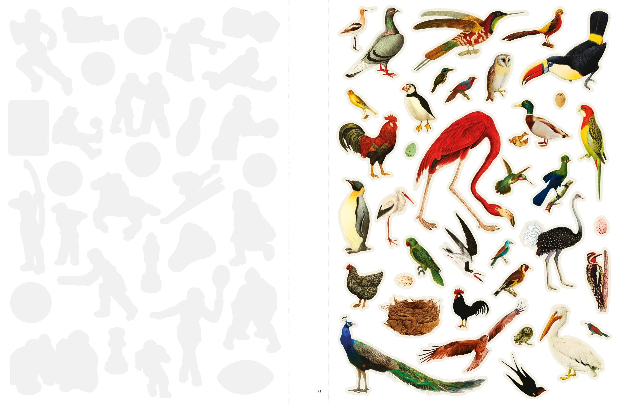 Even More Extraordinary Things to Cut Out and Collage by Gonzalez. Paula 20 9781399623445_1