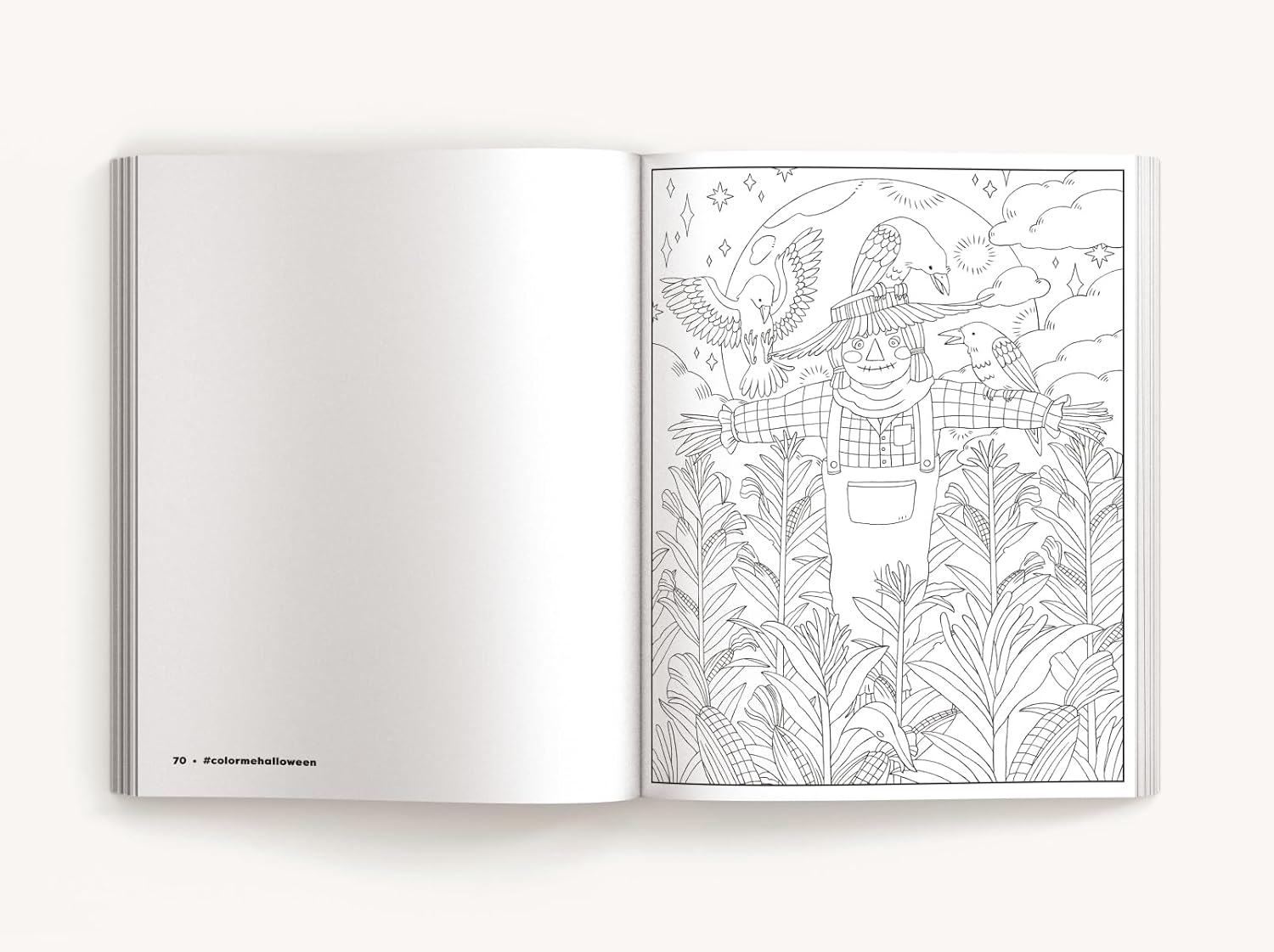 Color Me Halloween: A Spooky Coloring Book by Cider Mill Press 9781400344505_4